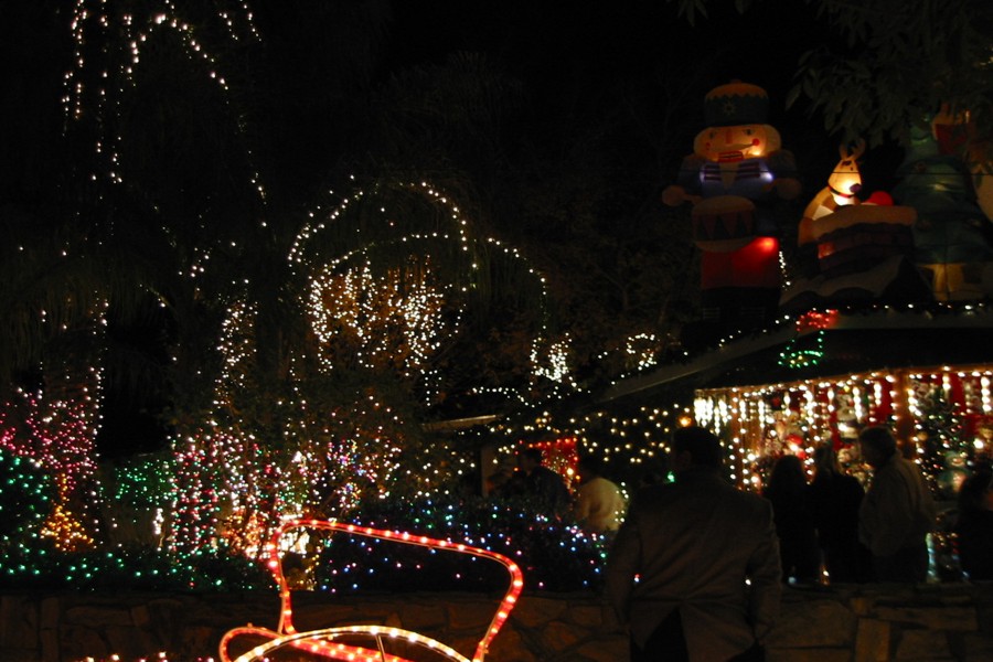 ../image/the crazy christmas house 1.jpg